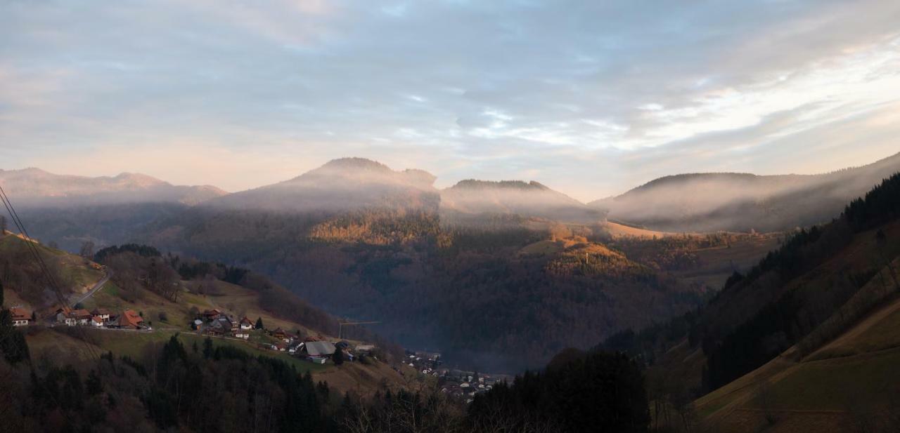 Apartamento B4 Albmatte Menzenschwand-Hinterdorf Exterior foto