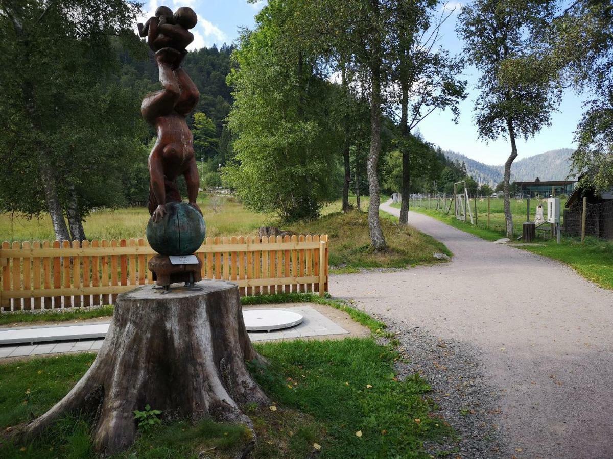 Apartamento B4 Albmatte Menzenschwand-Hinterdorf Exterior foto