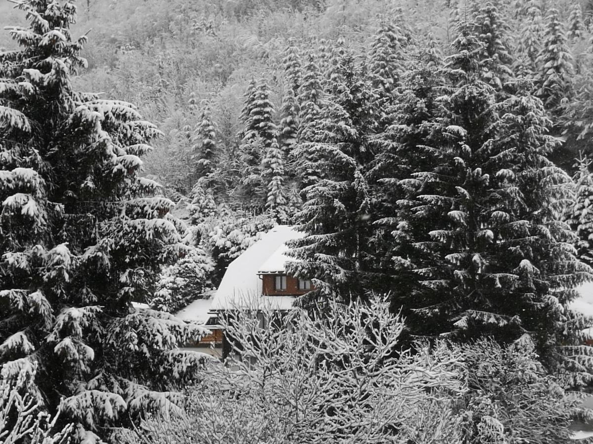 Apartamento B4 Albmatte Menzenschwand-Hinterdorf Exterior foto